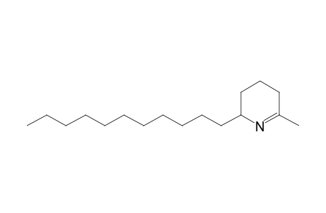 6-Methyl-2-undecyl-2,3,4,5-tetrahydropyridine