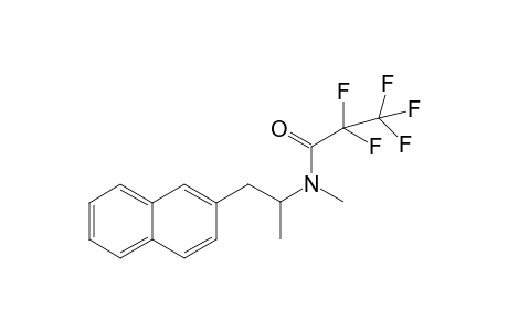 Methamnetamine PFP