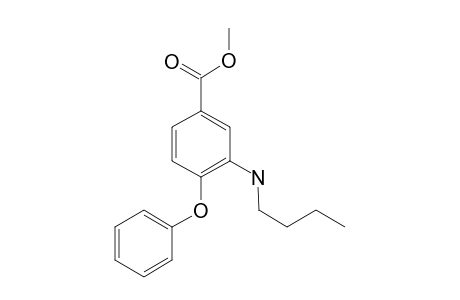 Bumetanide -SO2NH ME