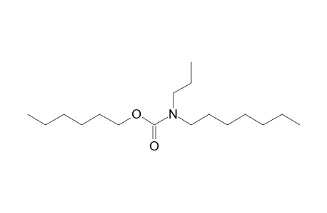 Carbonic acid, monoamide, N-propyl-N-heptyl-, hexyl ester