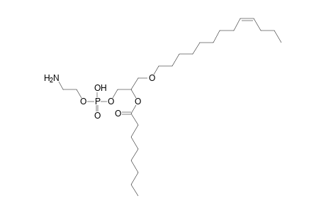 PE O-13:1_8:0