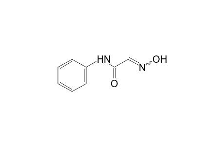 glyoxylanilide, 2-oxime