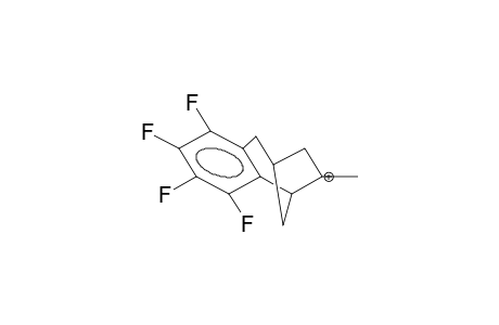 6-METHYL-3,4-TETRAFLUOROBENZOBICYCLO[3.2.1]OCTEN-6-YL CATION