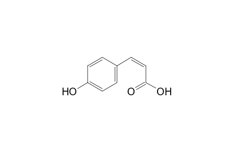 cis-p-HYDROXYCINNAMIC ACID