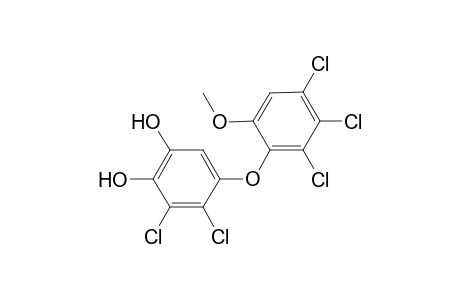2',3',4',2,3Pentachloro-4',5'-dihydroxy-6-methoxydiphenyl ether