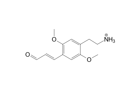 2C-P-M (HOOC-N-acetyl-) MS3_1