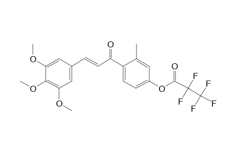 4'-Hydroxy-2'-methyl-3,4,5-trimethoxychalcone, pentafluoropropionate