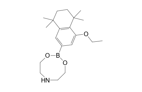 2-(4-Ethoxy-5,5,8,8-tetramethyl-5,6,7,8-tetrahydronaphthalen-2-yl)-1,3,6,2-dioxazaborocane