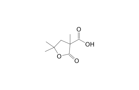 .alpha.-Carboxy-.alpha.-methyl-.gamma.,.gamma.-dimethyl-.gamma.-butyrolactone