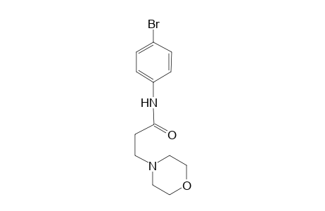 4-morpholinepropanamide, N-(4-bromophenyl)-