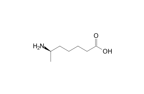 (6R)-6-aminoheptanoic acid