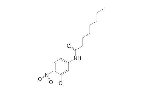 3'-chloro-4'-nitrooctananilide