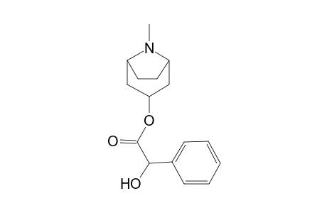 8-Methyl-8-azabicyclo[3.2.1]oct-3-yl hydroxy(phenyl)acetate