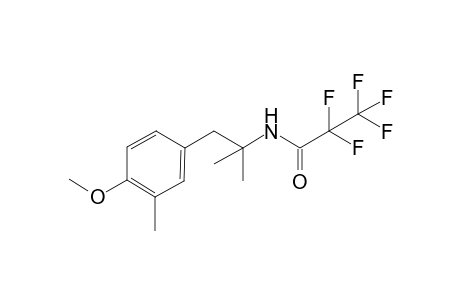 2,2,3,3,3-pentafluoro-N-(1-(4-methoxy-3-methylphenyl)-2-methylpropan-2-yl)propanamide