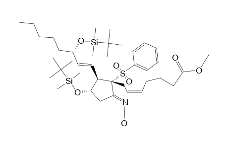 METHYL-(5Z,13E,8R,11R,12S,15S)-11,15-BIS-(TERT.-BUTYLDIMETHYLSILOXY)-9-(ANTI-OXIMINO)-8-(PHENYLSULFONYL)-5,13-PROSTADIENOATE