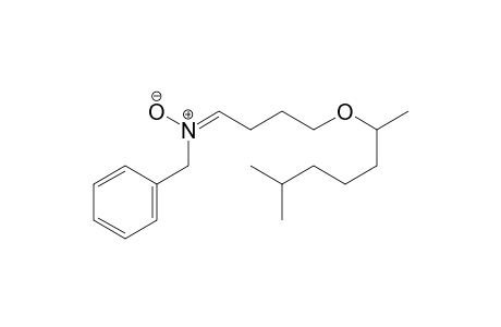 N-benzyl-4-((6-methylheptan-2-yl)oxy)butan-1-imine oxide