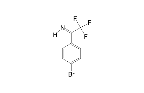 (E)-1-(2,2,2-TRIFLUORO)-1-(4-BROMOPHENYL)-ETHYL-IMINE;MAJOR-ISOMER