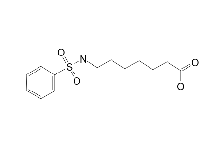 7-Benzenesulfonamidoheptanoic acid