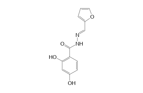 N'-[(E)-2-Furylmethylidene]-2,4-dihydroxybenzohydrazide