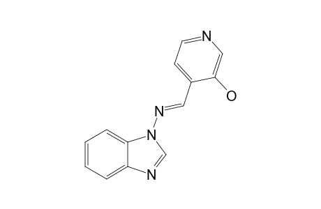 4-[(E)-(1H-BENZIMIDAZOL-1-YLIMINO)-METHYL]-PYRIDIN-3-OL