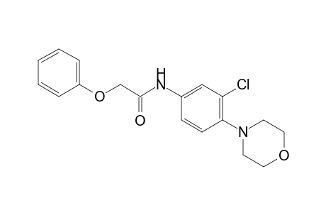 acetamide, N-[3-chloro-4-(4-morpholinyl)phenyl]-2-phenoxy-