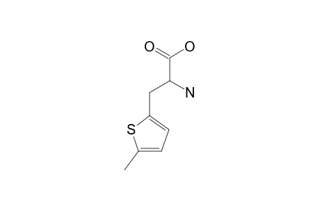 5-METHYL-2-THIENYLALANINE