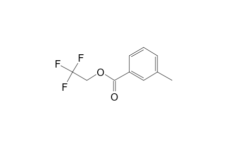 3-Methylbenzoic acid, 2,2,2-trifluoroethyl ester