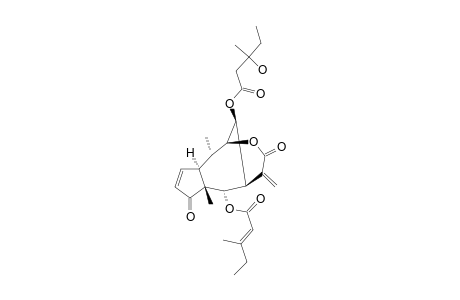 ATHROLIDE_E;1-S*,7-R*,10-(H)-R*-4-OXO-6-S*-(E)-3-METHYL-2-PENTENOYLOXY-8-S*-(3-HYDROXY-3-METHYLPENTANOYLOXY