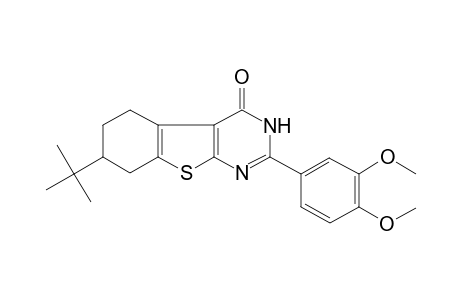 7-tert-Butyl-2-(3,4-dimethoxyphenyl)-5,6,7,8-tetrahydro-3H-benzothiopheno[2,3-d]pyrimidin-4-one