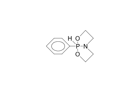 1-Phenyl-2,8-dioxa-5-aza-1-phospha(V)bicyclo(3.3.0)octane