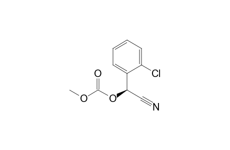 (S)-2-(2-CHLOROPHENYL)-2-(METHOXYCARBONYLOXY)-ACETONITRILE