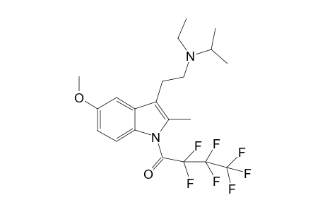 5-MeO-2-Me-EiPT HFB