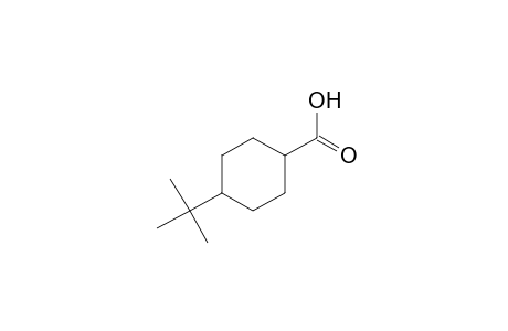 4-tert-Butylcyclohexanecarboxylic acid