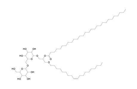 DGDG O-19:1_28:0