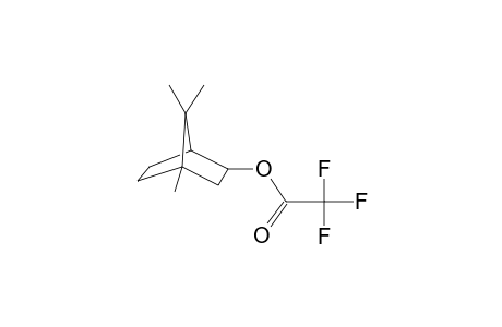 Trifluoroacetyl-epiisoborneol