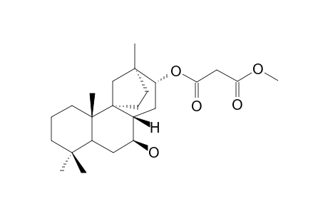 METHYL-THYRSIFLORIN-B