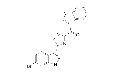 SPONGOTINE_A