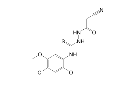 4-(4-chloro-2,5-dimethoxyphenyl)-1-(cyanoacetyl)-3-thiosemicarbazide