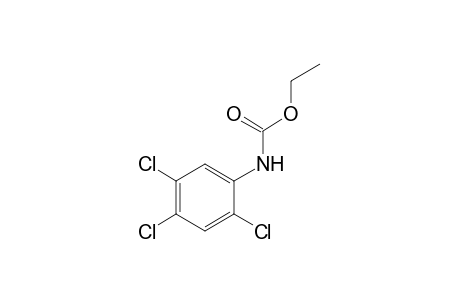 2,4,5-trichlorocarbanilic acid, ethyl ester
