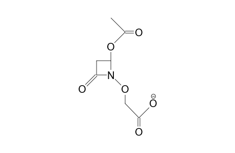 (2-Acetoxy-4-oxo-azetidin-1-yl)-oxy-acetic acid, anion