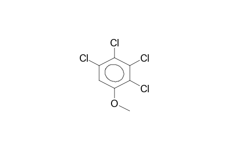 2,3,4,5-Tetrachloroanisole