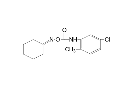 cyclohexanone, O-[(5-chloro-o-tolyl)carbamoyl]oxime