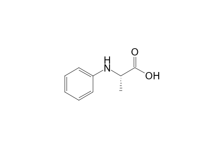 2-(N-Phenylamino)propanoic acid