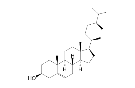 (24S)-24-METHYLCHOLEST-5-EN-3-BETA-OL