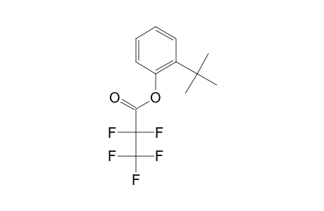 2-Tert-butylphenol, o-pentafluoropropionyl-