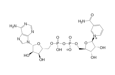 β-Nicotinamide adenine dinucleotide