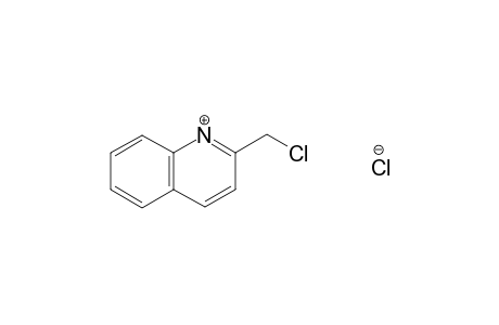 2-(Chloromethyl)quinoline hydrochloride