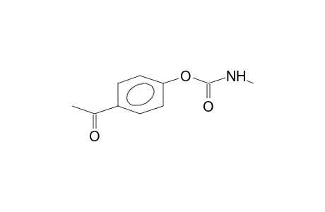 PARA-ACETYLPHENYL-N-METHYLCARBAMATE