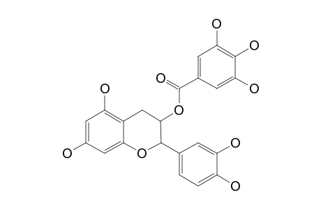 CATECHIN-7-O-GALLATE