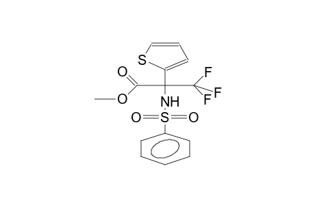 2-(ALPHA-CARBMETHOXY-ALPHA-BENZENSULPHAMIDOTRIFLUOROETHYL)THIOPHENE